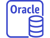 Oracle instance