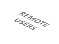 Remote Users