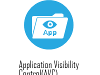 Application Visibility Control ( AVC)