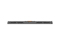 MX 25G Ethernet Pass through