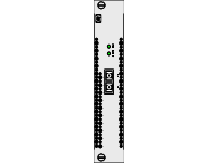 Gigabit Fiber Module