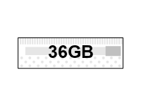 A6171A 36GB Disc