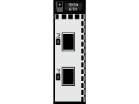 10 Gbit s FCo E interface module (two ports)