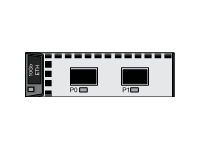 10Gb ETH interface module( 2 ports)