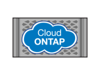 Cloud ONTAP