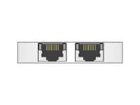 Nexsan NST4000 dual port 10Gb E RJ 45 host connectivity card HH